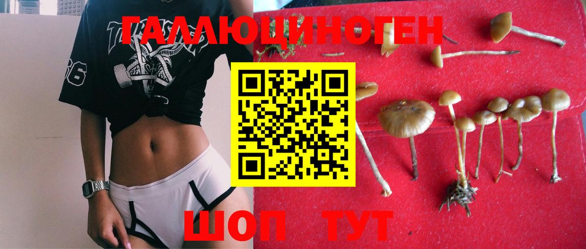 Псилоцибиновые грибы прущие грибы Петропавловск-Камчатский